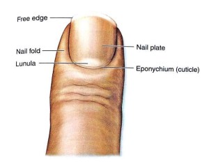 Nail care
